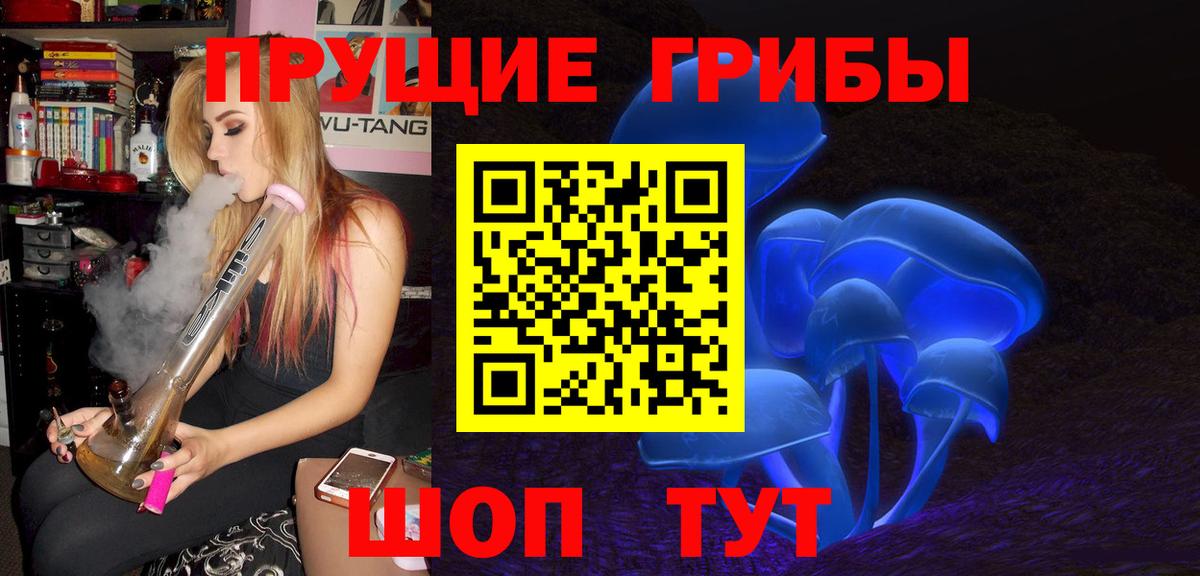 A PVP Мыски