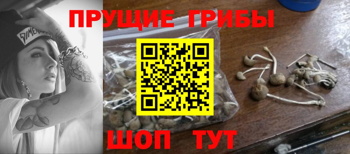 Мыски  Псилоцибиновые грибы GOLDEN TEACHER  где можно купить наркотик  Вход с VPN 